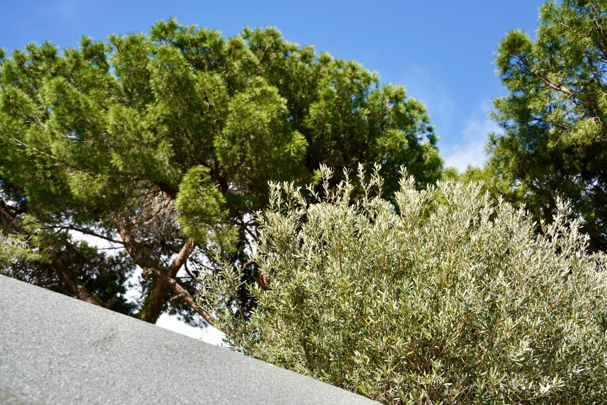 Starsbox Jacuzzi Privata E Piscina Vista Mare Hotel Celle Ligure Eksteriør billede